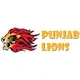 Punjab Panthers