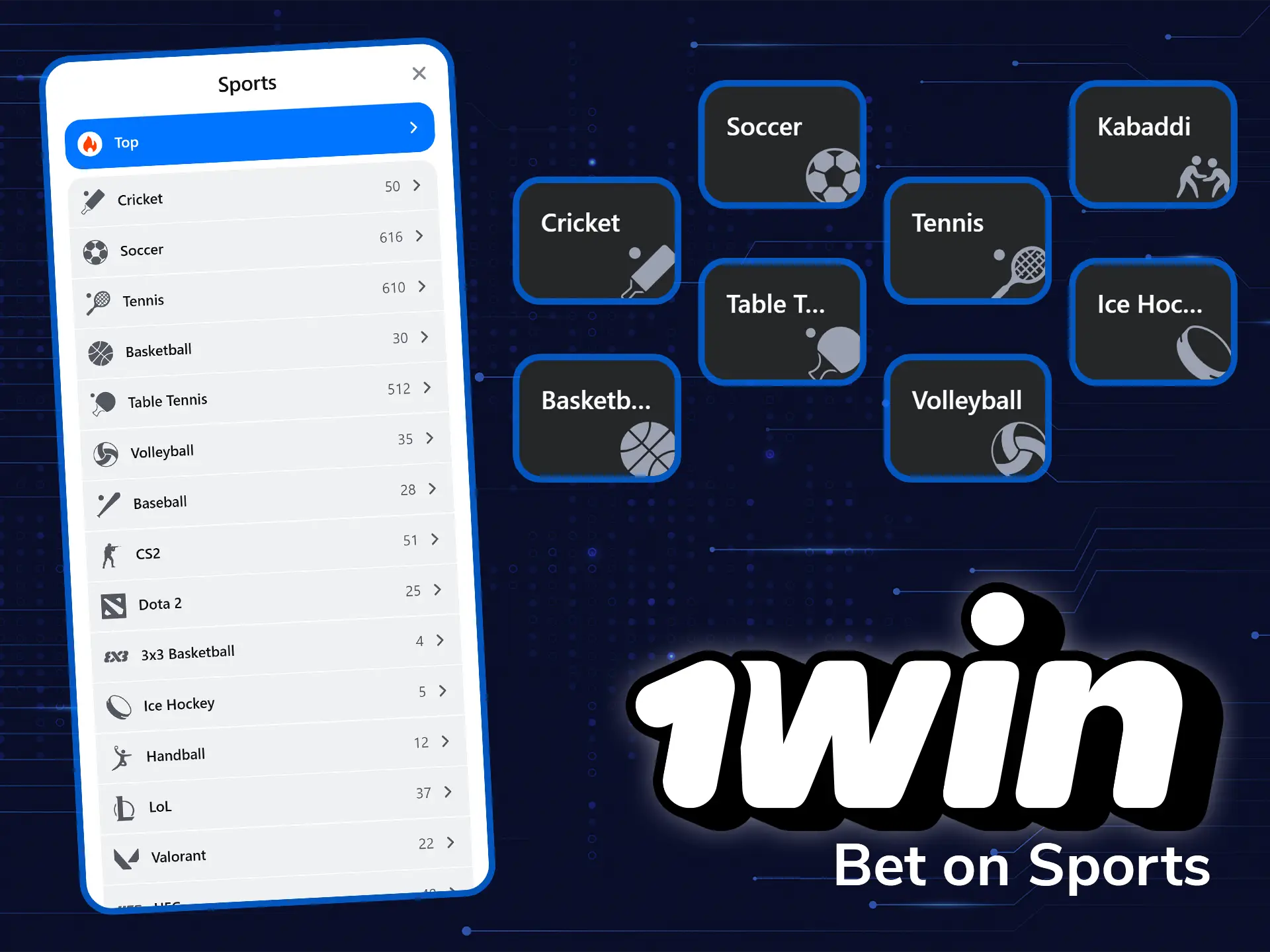 1win offers a wide variety of sports for betting.