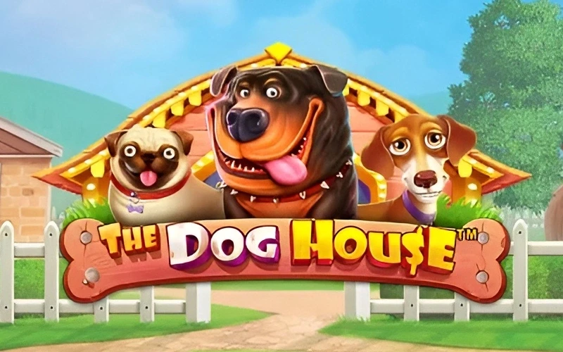 Play The Dog House slot game for big multipliers at 1win.